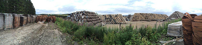 Prestige and Popularity: Scotch whisky at a crossroads