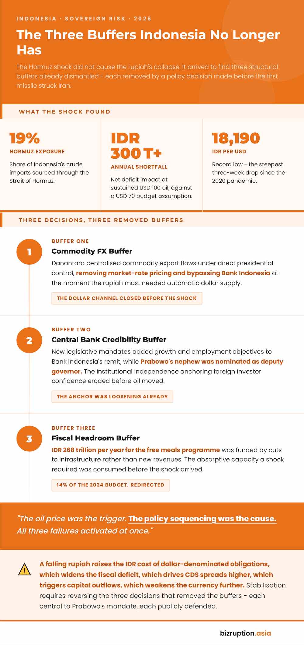 Infographic Indonesia ThreeBuffers