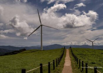 The Great Bifurcation: Why Asia’s Energy Capital Story Has Split in Two
